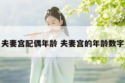 夫妻宫配偶年龄 夫妻宫的年龄数字