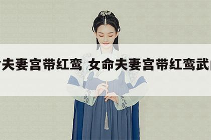 女命夫妻宫带红鸾 女命夫妻宫带红鸾武曲天相