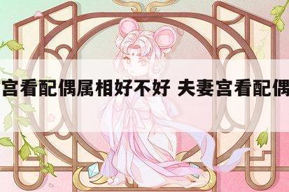 夫妻宫看配偶属相好不好 夫妻宫看配偶富贵程度