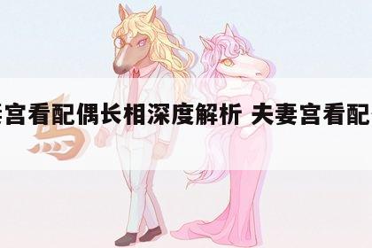 夫妻宫看配偶长相深度解析 夫妻宫看配偶性格