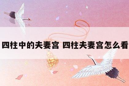 四柱中的夫妻宫 四柱夫妻宫怎么看