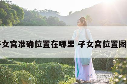 子女宫准确位置在哪里 子女宫位置图解