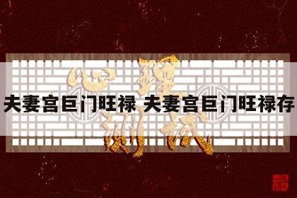 夫妻宫巨门旺禄 夫妻宫巨门旺禄存