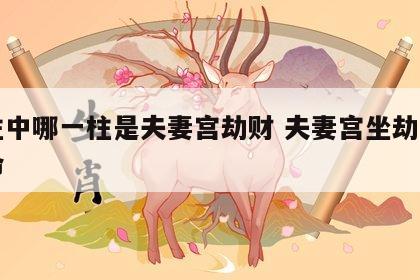 四柱中哪一柱是夫妻宫劫财 夫妻宫坐劫财的女命