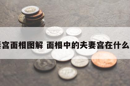 夫妻宫面相图解 面相中的夫妻宫在什么位置