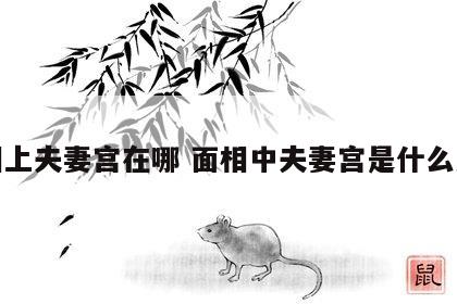 面相上夫妻宫在哪 面相中夫妻宫是什么意思