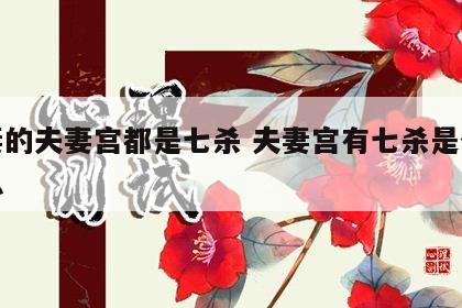 夫妻的夫妻宫都是七杀 夫妻宫有七杀是什么意思
