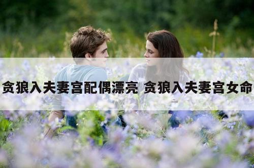 贪狼入夫妻宫配偶漂亮 贪狼入夫妻宫女命