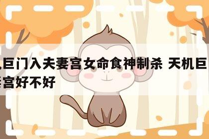 天机巨门入夫妻宫女命食神制杀 天机巨门在夫妻宫好不好