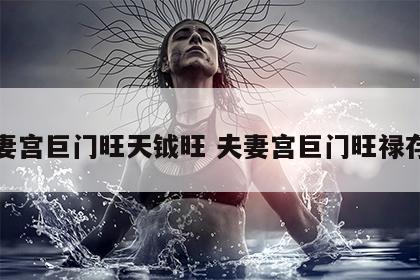 夫妻宫巨门旺天钺旺 夫妻宫巨门旺禄存庙
