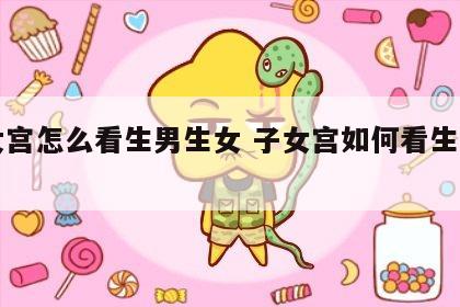 子女宫怎么看生男生女 子女宫如何看生男生女