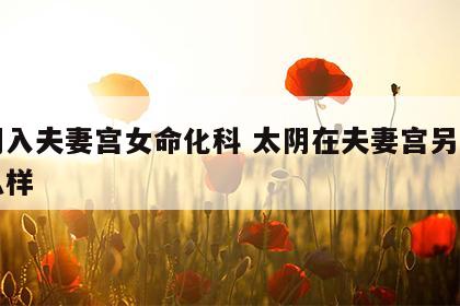 太阴入夫妻宫女命化科 太阴在夫妻宫另一半怎么样
