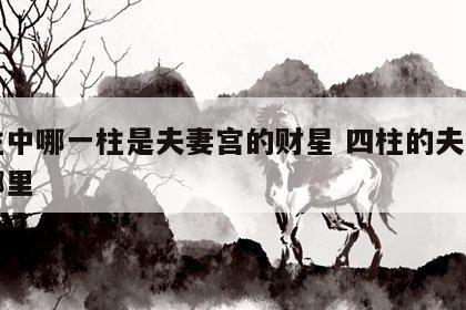 四柱中哪一柱是夫妻宫的财星 四柱的夫妻宫在哪里
