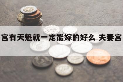 夫妻宫有天魁就一定能嫁的好么 夫妻宫有天魁星