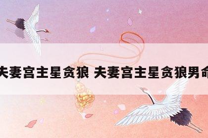 夫妻宫主星贪狼 夫妻宫主星贪狼男命