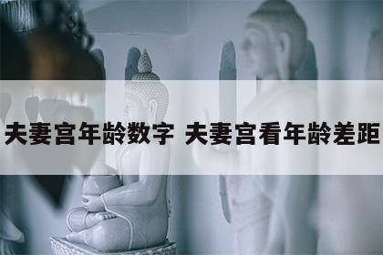 夫妻宫年龄数字 夫妻宫看年龄差距