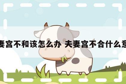 夫妻宫不和该怎么办 夫妻宫不合什么意思