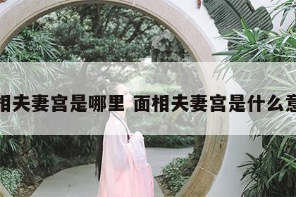面相夫妻宫是哪里 面相夫妻宫是什么意思