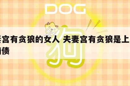夫妻宫有贪狼的女人 夫妻宫有贪狼是上辈子有情债