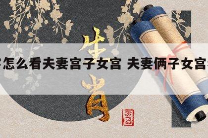 八字怎么看夫妻宫子女宫 夫妻俩子女宫看谁的