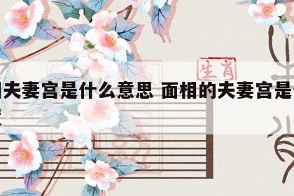 面相夫妻宫是什么意思 面相的夫妻宫是什么位置