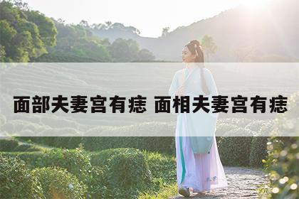 面部夫妻宫有痣 面相夫妻宫有痣