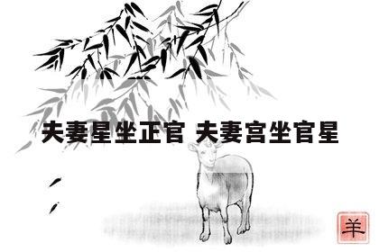 夫妻星坐正官 夫妻宫坐官星