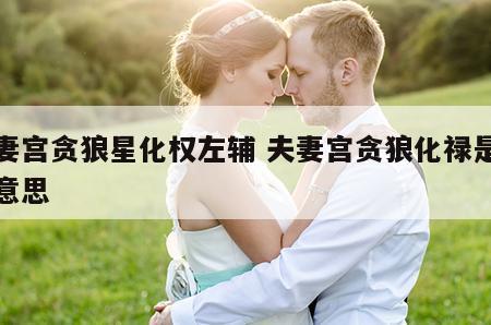 夫妻宫贪狼星化权左辅 夫妻宫贪狼化禄是什么意思