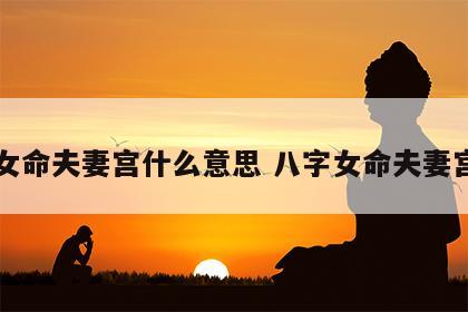 女命夫妻宫什么意思 八字女命夫妻宫