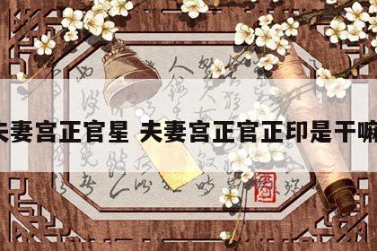 夫妻宫正官星 夫妻宫正官正印是干嘛?
