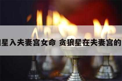 贪狼星入夫妻宫女命 贪狼星在夫妻宫的女人