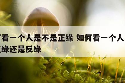 如何看一个人是不是正缘 如何看一个人是不是正缘还是反缘