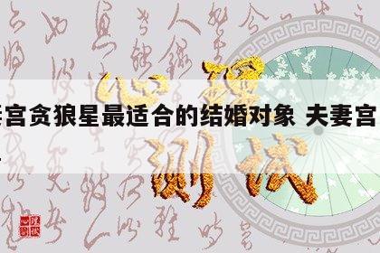夫妻宫贪狼星最适合的结婚对象 夫妻宫为贪狼星