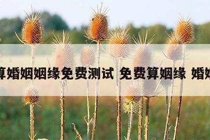 算婚姻姻缘免费测试 免费算姻缘 婚姻