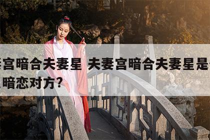 夫妻宫暗合夫妻星 夫妻宫暗合夫妻星是代表自己暗恋对方?