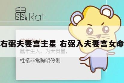右弼夫妻宫主星 右弼入夫妻宫女命