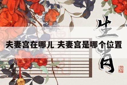 夫妻宫在哪儿 夫妻宫是哪个位置