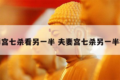 夫妻宫七杀看另一半 夫妻宫七杀另一半相貌