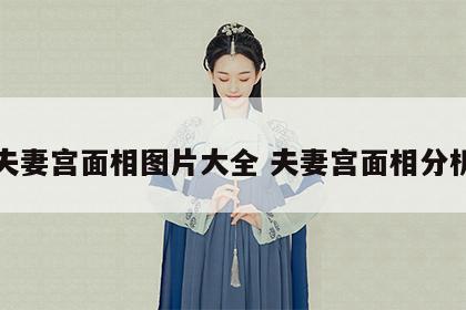 夫妻宫面相图片大全 夫妻宫面相分析