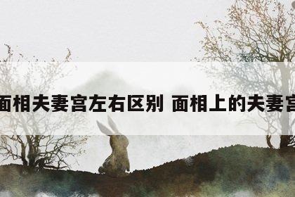 面相夫妻宫左右区别 面相上的夫妻宫