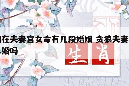贪狼在夫妻宫女命有几段婚姻 贪狼夫妻宫一定二婚吗