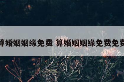 算婚姻姻缘免费 算婚姻姻缘免费免费