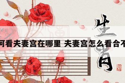 如何看夫妻宫在哪里 夫妻宫怎么看合不合