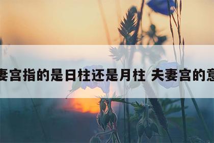 夫妻宫指的是日柱还是月柱 夫妻宫的意思