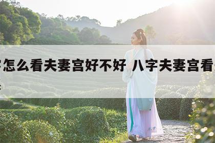 八字怎么看夫妻宫好不好 八字夫妻宫看夫妻关系