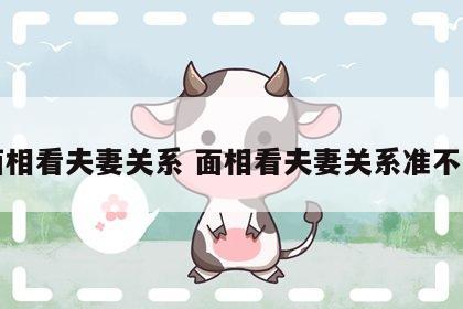 面相看夫妻关系 面相看夫妻关系准不准