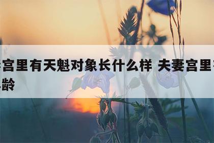 夫妻宫里有天魁对象长什么样 夫妻宫里有天魁年龄