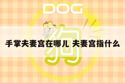 手掌夫妻宫在哪儿 夫妻宫指什么