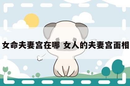 女命夫妻宫在哪 女人的夫妻宫面相