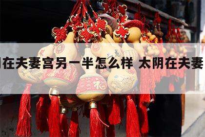 太阴在夫妻宫另一半怎么样 太阴在夫妻宫女命